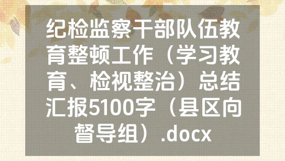 纪检监察干部队伍教育整顿工作（学习教育、检视整治）总结汇报5100字（县区向督导组）.docx