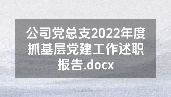 公司党总支2022年度抓基层党建工作述职报告.docx