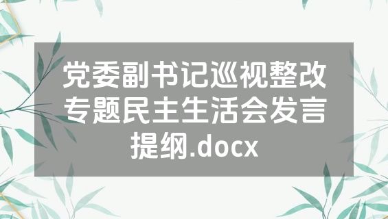 党委副书记巡视整改专题民主生活会发言提纲.docx