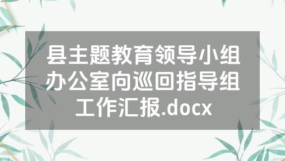 县主题教育领导小组办公室向巡回指导组工作汇报.docx
