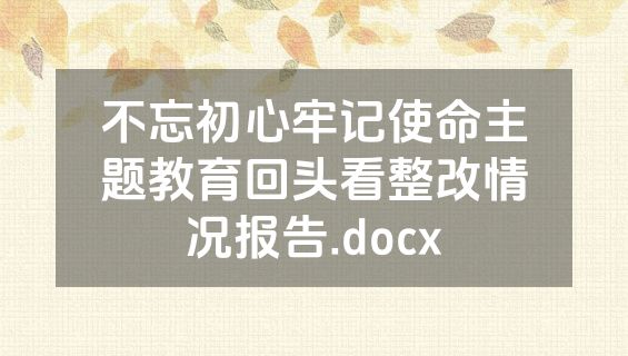 不忘初心牢记使命主题教育回头看整改情况报告.docx