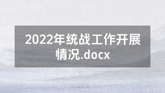 2022年统战工作开展情况.docx