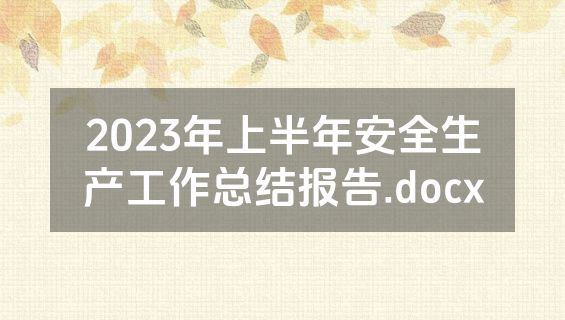 2023年上半年安全生产工作总结报告.docx