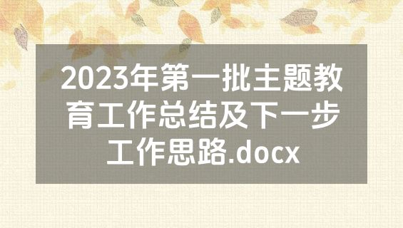 2023年第一批主题教育工作总结及下一步工作思路.docx