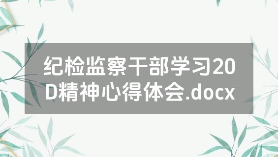 纪检监察干部学习20D精神心得体会.docx