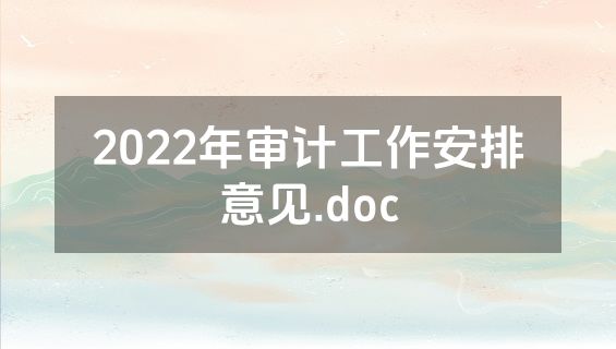 2022年审计工作安排意见.doc