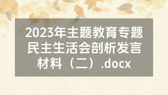 2023年主题教育专题民主生活会剖析发言材料（二）.docx