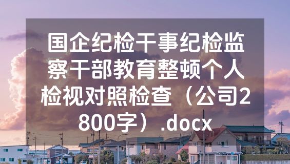 国企纪检干事纪检监察干部教育整顿个人检视对照检查（公司2800字）.docx