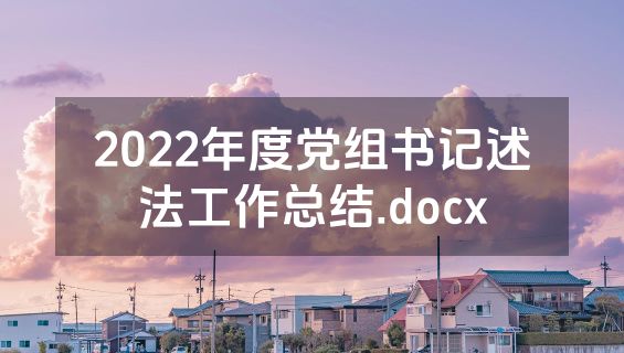 2022年度党组书记述法工作总结.docx