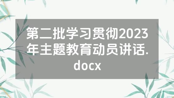 第二批学习贯彻2023年主题教育动员讲话.docx