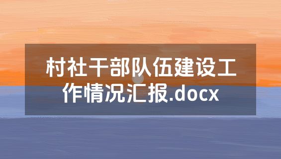 村社干部队伍建设工作情况汇报.docx