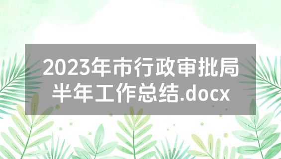 2023年市行政审批局半年工作总结.docx