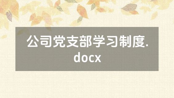 公司党支部学习制度.docx