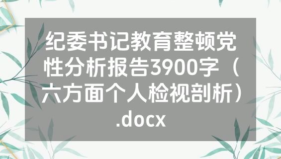 纪委书记教育整顿党性分析报告3900字（六方面个人检视剖析）.docx