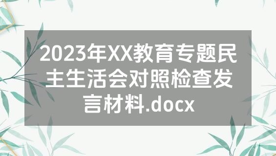 2023年XX教育专题民主生活会对照检查发言材料.docx