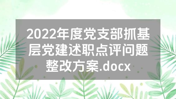 2022年度党支部抓基层党建述职点评问题整改方案.docx