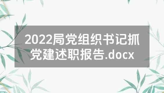 2022局党组织书记抓党建述职报告.docx