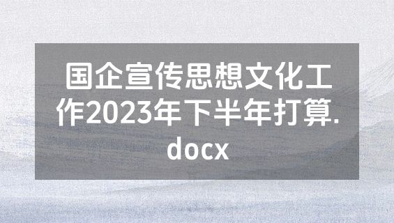 国企宣传思想文化工作2023年下半年打算.docx