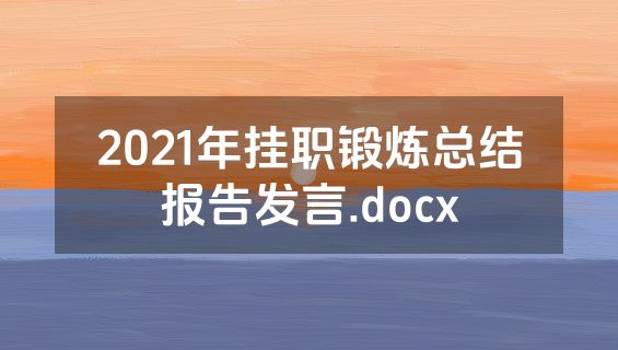 2021年挂职锻炼总结报告发言.docx