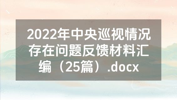 2022年中央巡视情况存在问题反馈材料汇编（25篇）.docx
