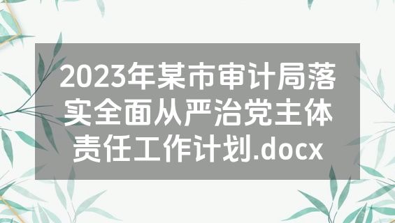 2023年某市审计局落实全面从严治党主体责任工作计划.docx