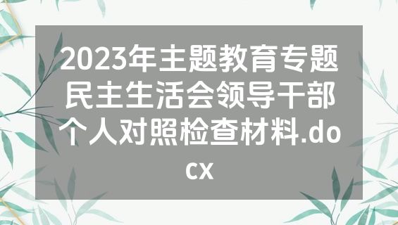 2023年主题教育专题民主生活会领导干部个人对照检查材料.docx