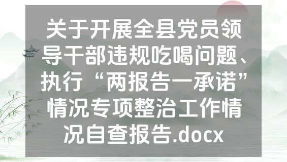 关于开展全县党员领导干部违规吃喝问题、执行“两报告一承诺”情况专项整治工作情况自查报告.docx