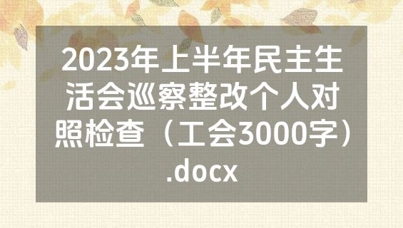 2023年上半年民主生活会巡察整改个人对照检查（工会3000字）.docx