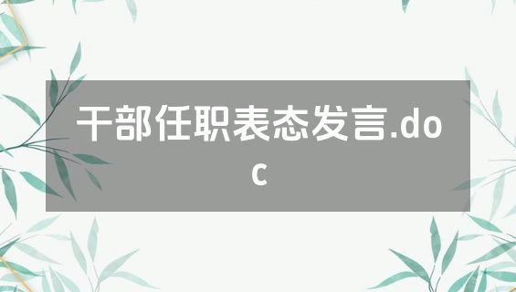 干部任职表态发言.doc