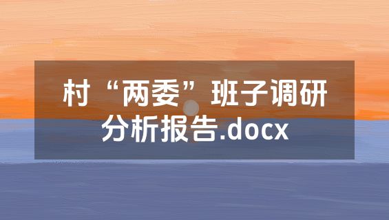 村“两委”班子调研分析报告.docx