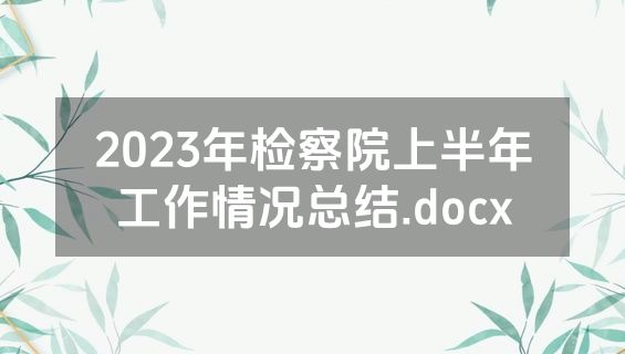 2023年检察院上半年工作情况总结.docx
