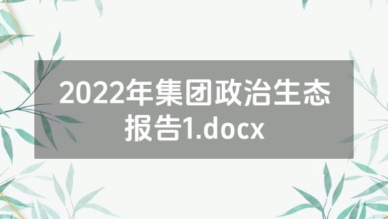 2022年集团政治生态报告1.docx