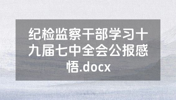 纪检监察干部学习十九届七中全会公报感悟.docx