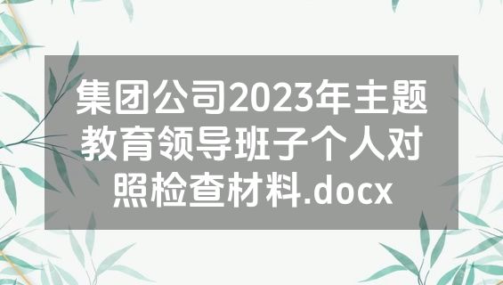 集团公司2023年主题教育领导班子个人对照检查材料.docx
