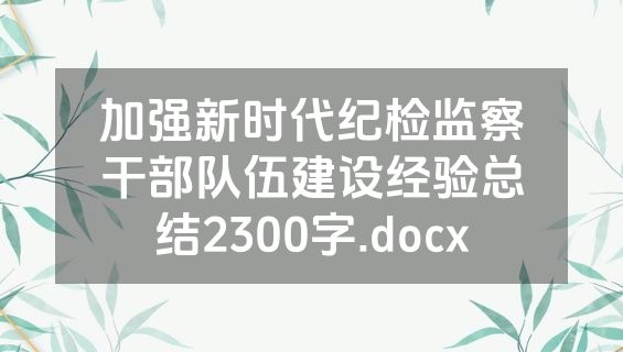 加强新时代纪检监察干部队伍建设经验总结2300字.docx