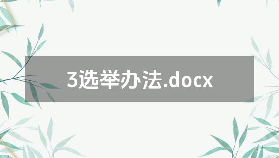 3选举办法.docx
