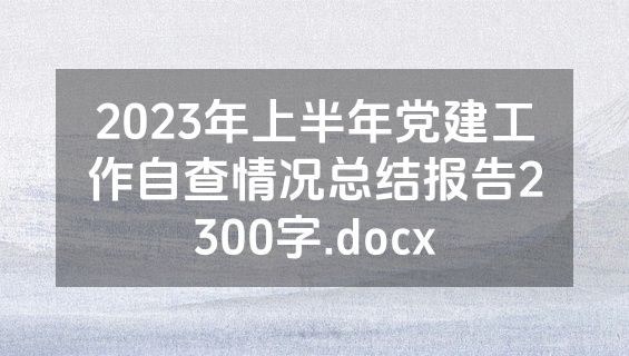 2023年上半年党建工作自查情况总结报告2300字.docx