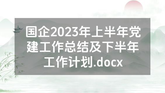 国企2023年上半年党建工作总结及下半年工作计划.docx