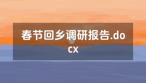 春节回乡调研报告.docx