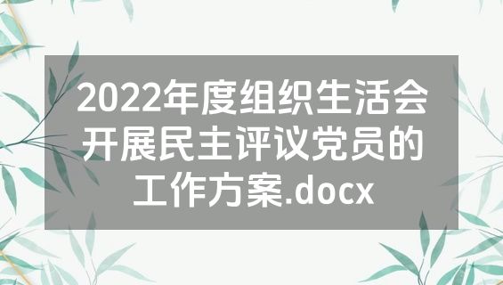 2022年度组织生活会开展民主评议党员的工作方案.docx