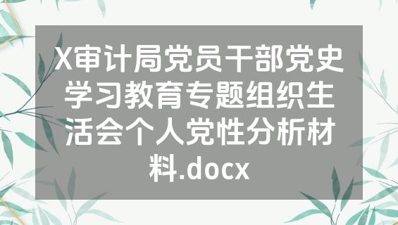 X审计局党员干部党史学习教育专题组织生活会个人党性分析材料.docx