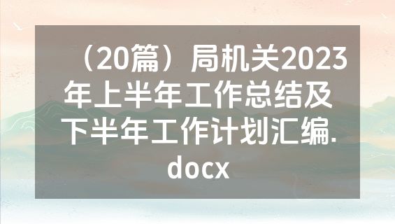 （20篇）局机关2023年上半年工作总结及下半年工作计划汇编.docx