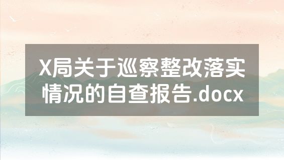 X局关于巡察整改落实情况的自查报告.docx