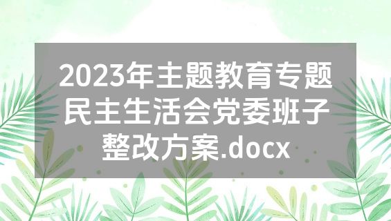 2023年主题教育专题民主生活会党委班子整改方案.docx