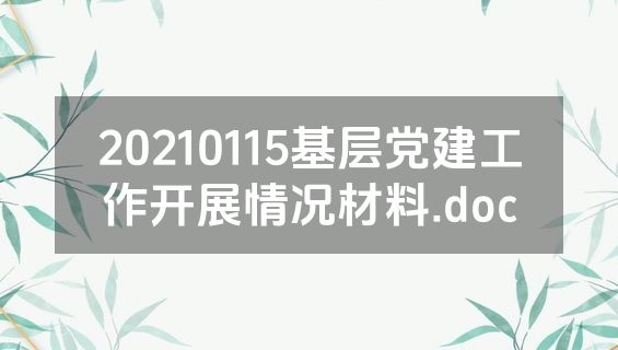20210115基层党建工作开展情况材料.doc