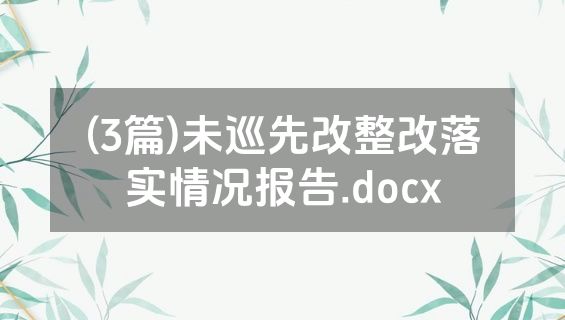 (3篇)未巡先改整改落实情况报告.docx