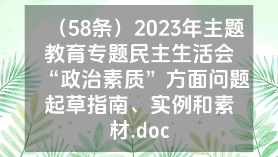 （58条）2023年主题教育专题民主生活会“政治素质”方面问题起草指南、实例和素材.doc