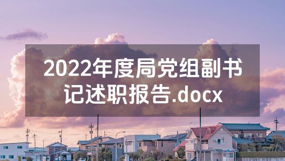 2022年度局党组副书记述职报告.docx