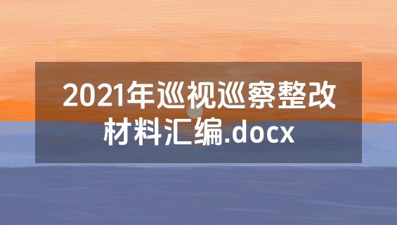 2021年巡视巡察整改材料汇编.docx