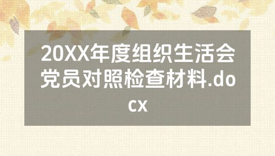 20XX年度组织生活会党员对照检查材料.docx